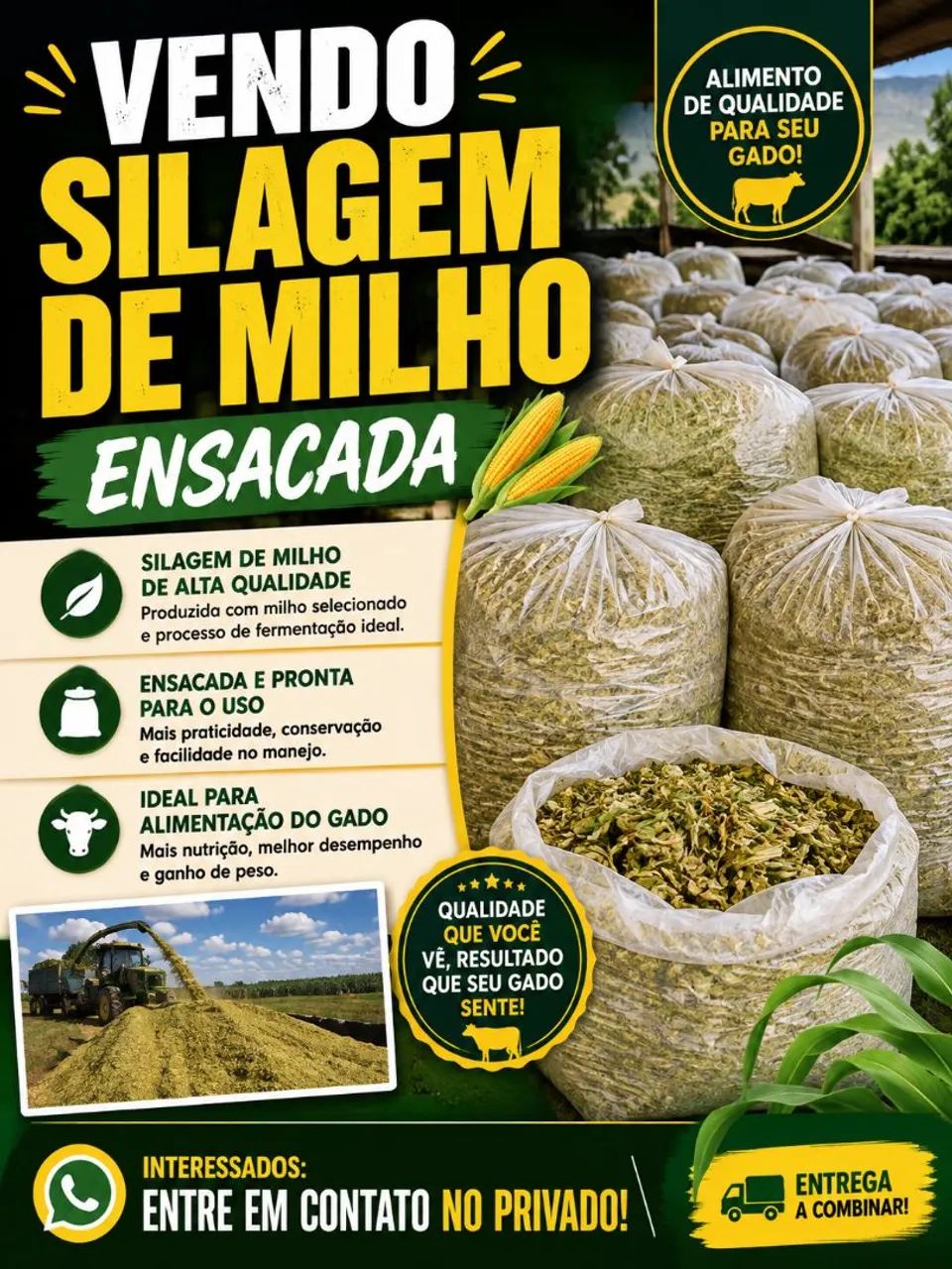 Vendo silagem de milho ensacado 