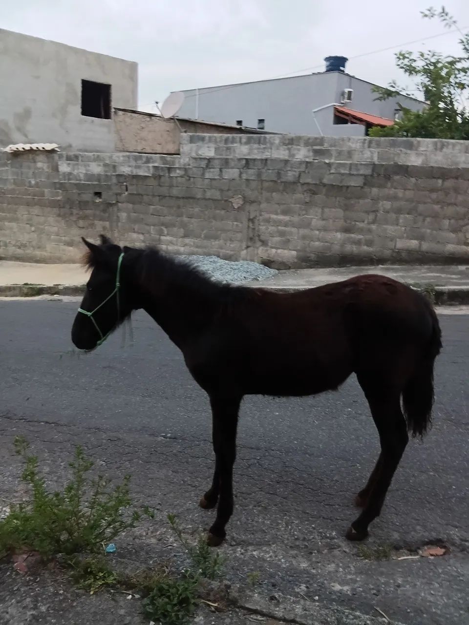 Vende-se  - Foto 2