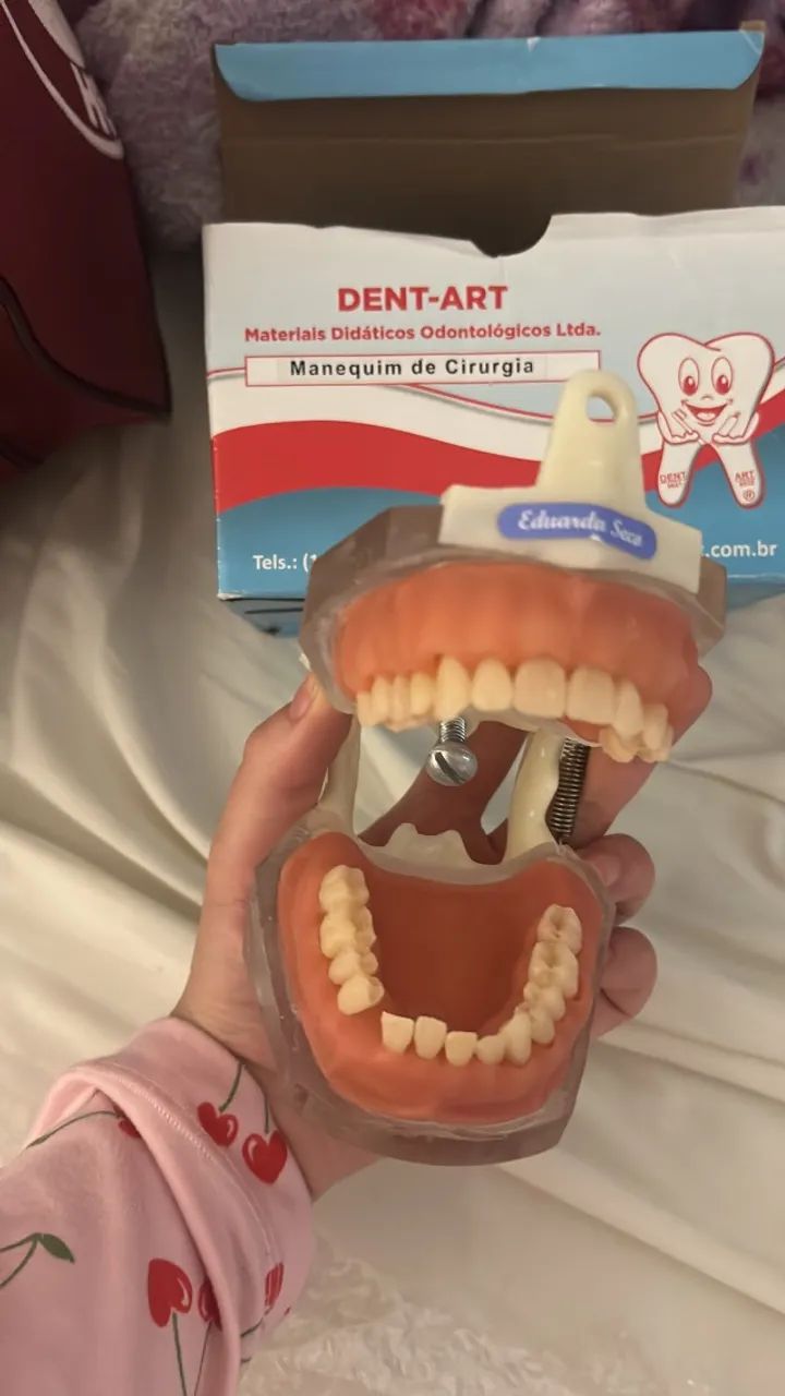Manequins odontológicos  - Foto 3