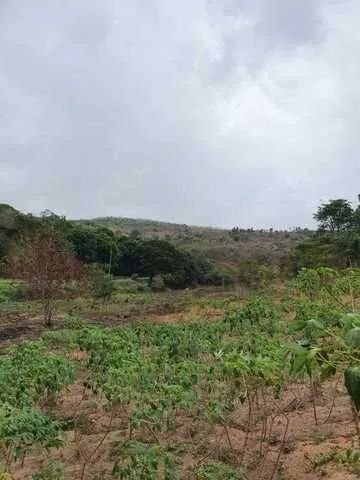Área 24 hectares PE 50 Vitória PE - Foto 2