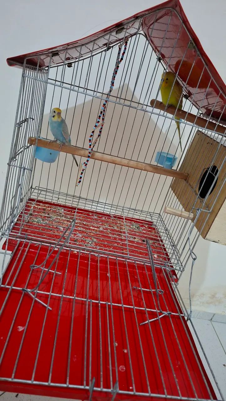 Gaiola  - Foto 3