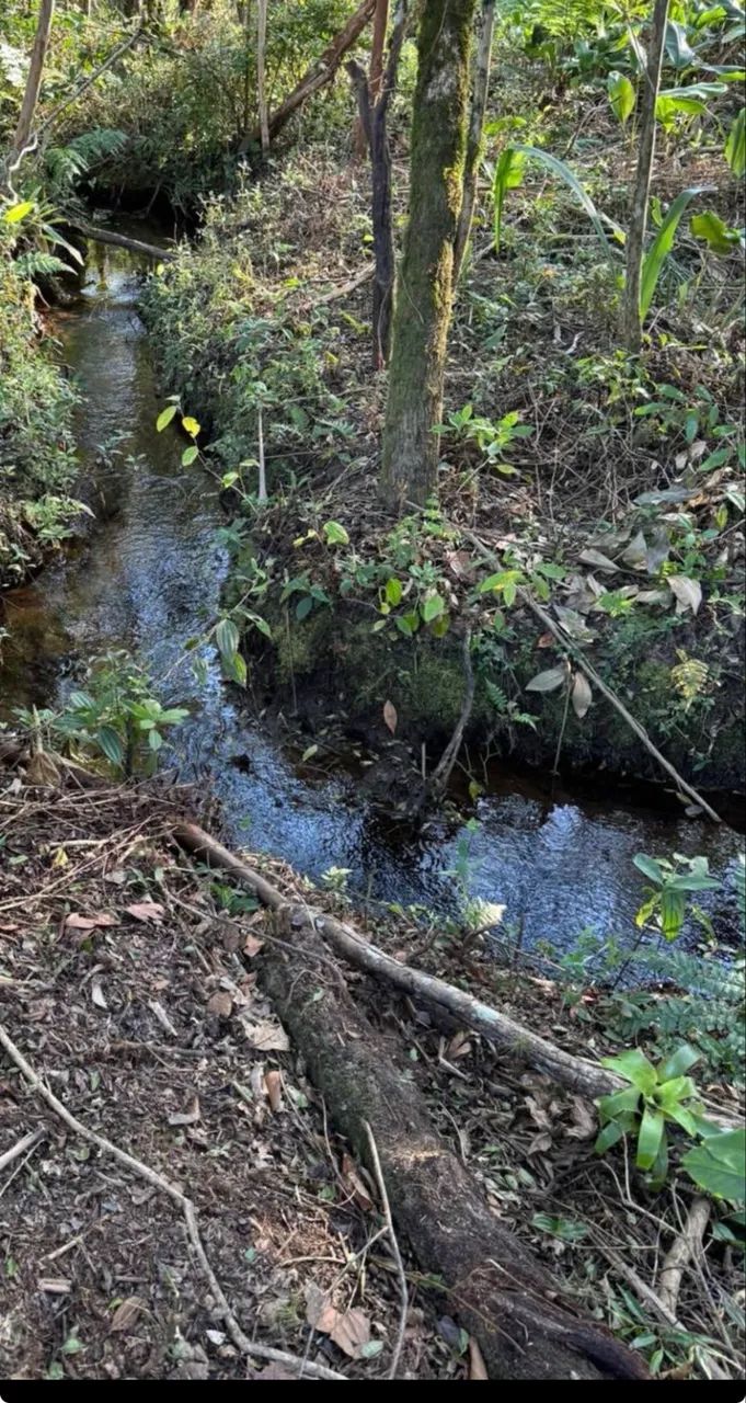 Terreno para chácara em Ibiuna mil metros  - Foto 3