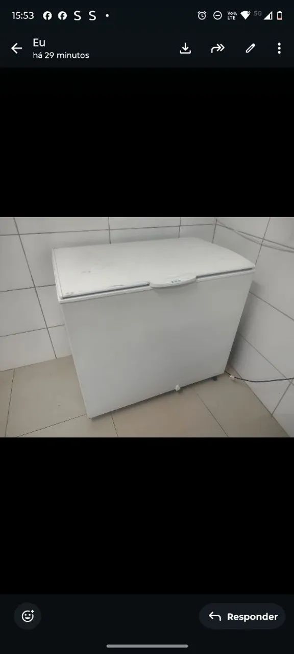 Freezer Eletrolux 