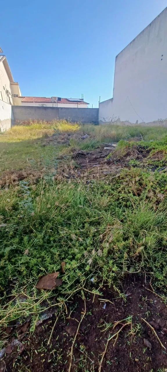 Serviços de roçagem profissional e rápido - Foto 4