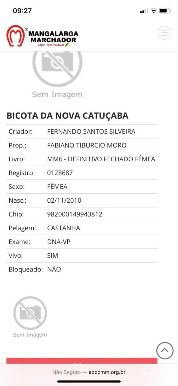Vendo égua  - Foto 2