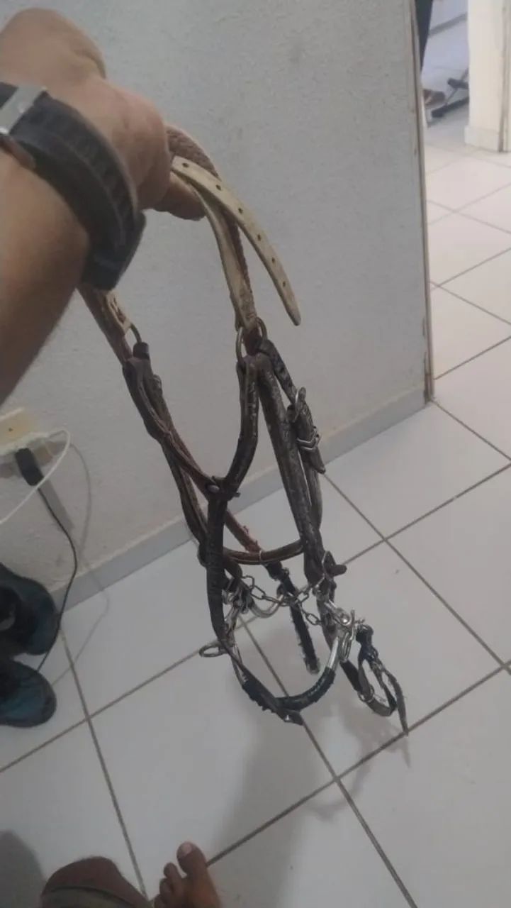 Cabeçada  - Foto 3