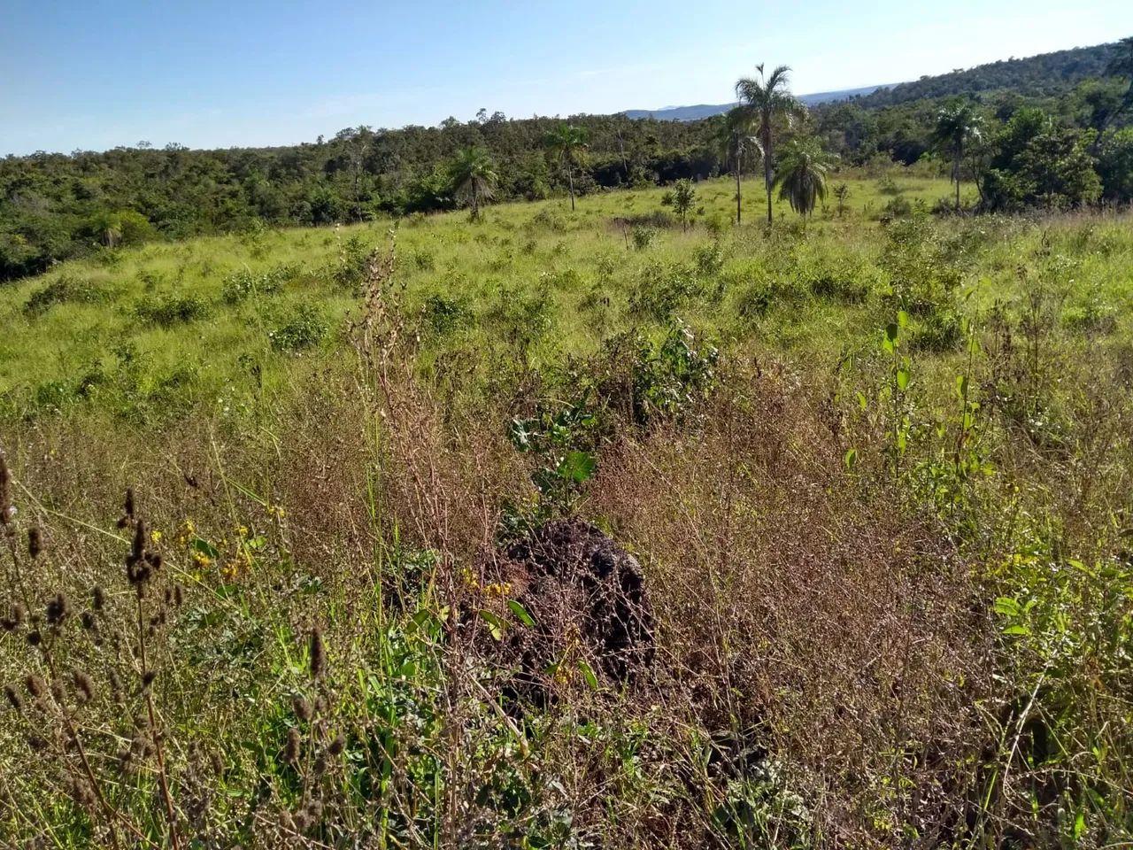 Vendo sítio em Minaçu  - Foto 2