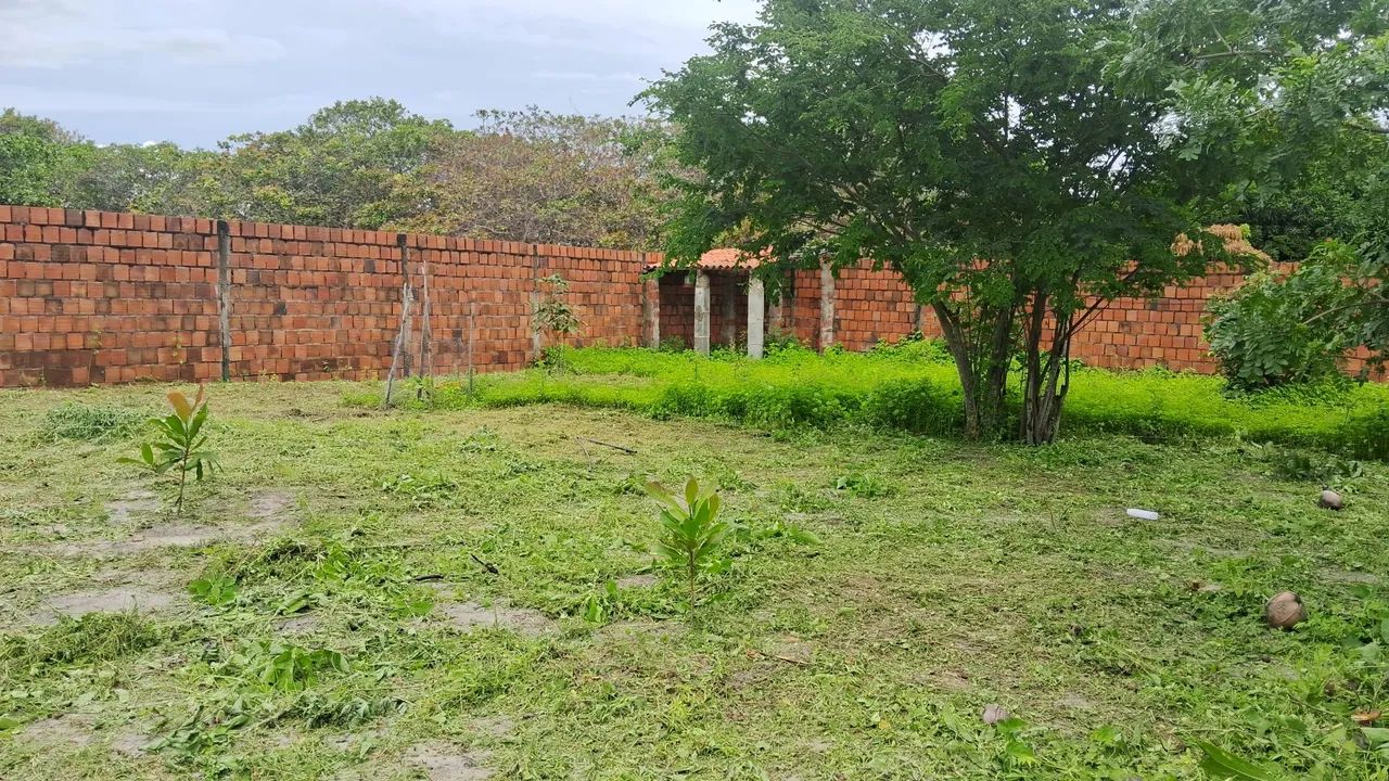 Lotes próximo lagoa do banana 