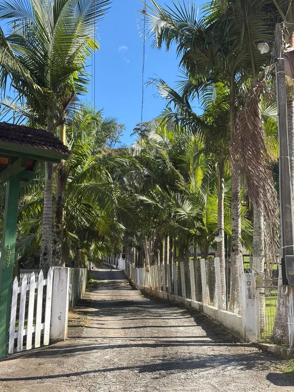Vendo barato!terreno em águas mornas para sítio  - Foto 3