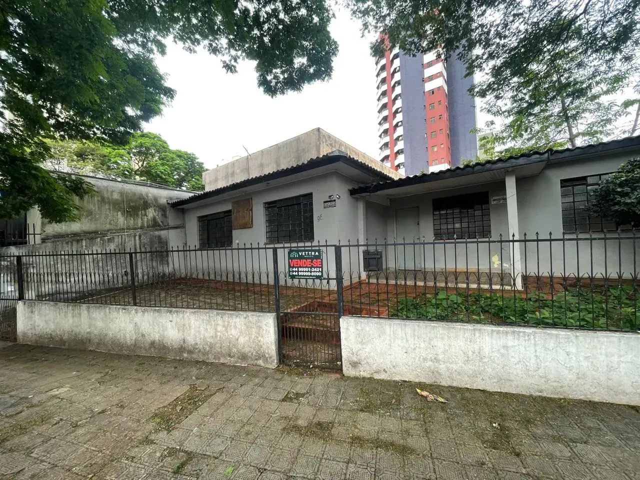 Terreno comercial/residencial - Zona 07 - Maringá/PR - Foto 3