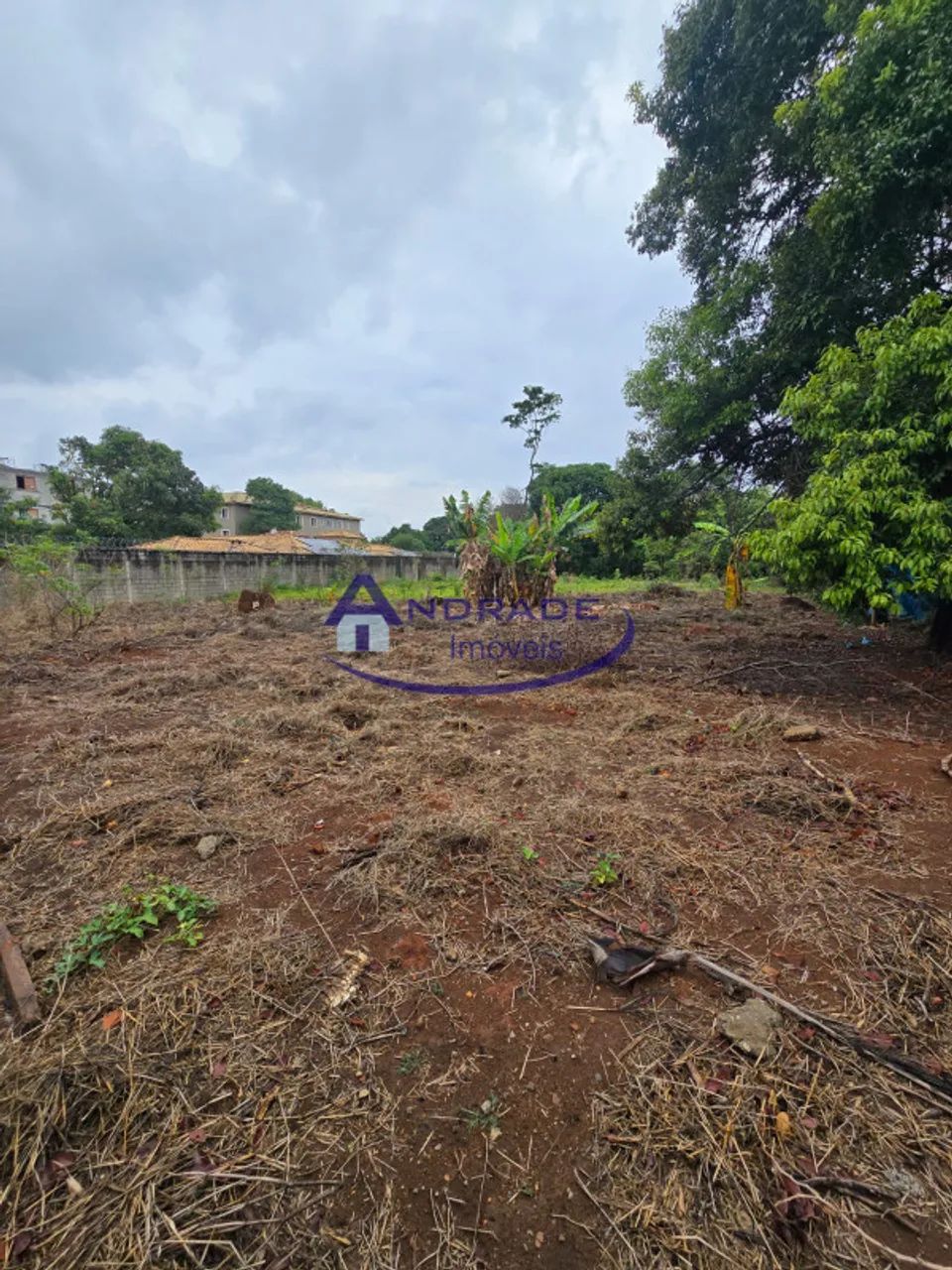 Casa com 2 quartos para alugar em Contagem - Foto 4