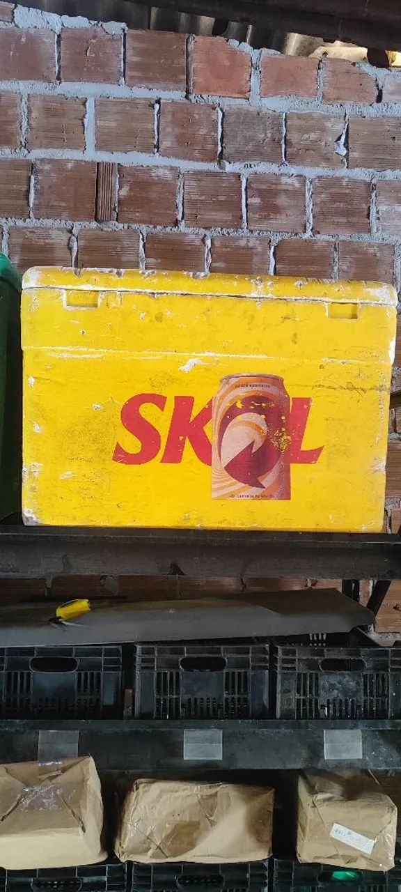 Caixa térmica isopor Skol 170 litros perfeito 80$