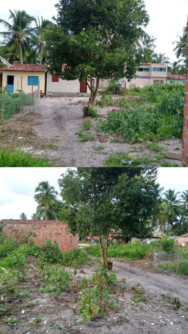 Terreno em Tatuamunha  - Foto 3