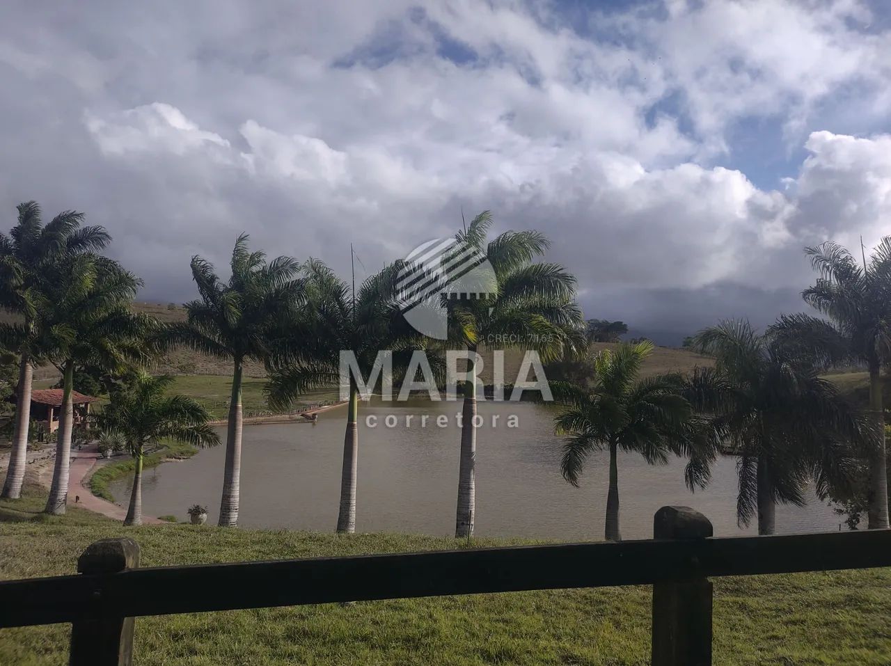 Fazenda à venda com 300 hectares com excelente acesso e uma extraordinária vista!! - Foto 12