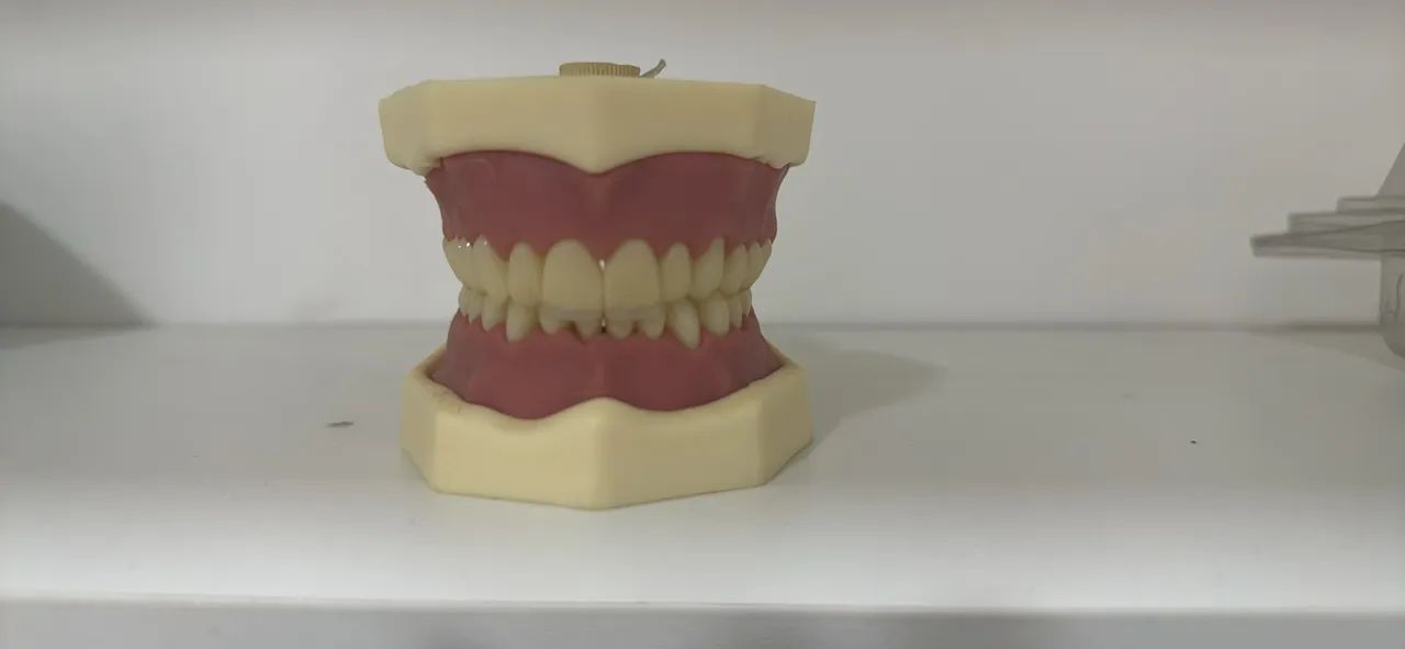 Manequim de Dentística - Foto 2