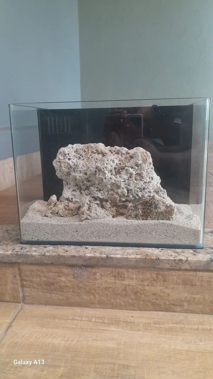 Aquario 