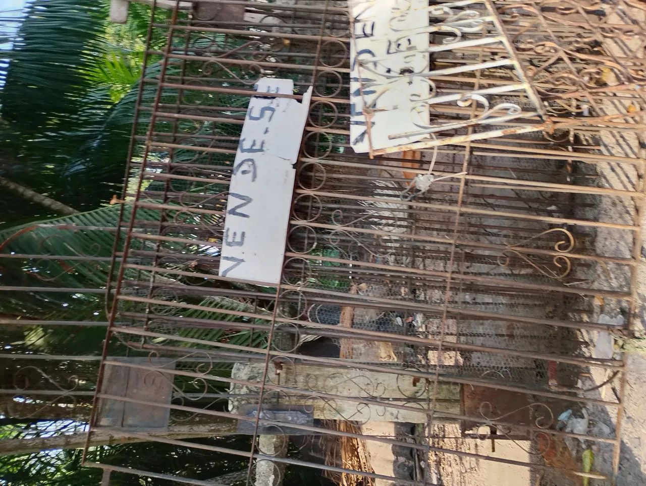 Grades de janela 64962173321089124