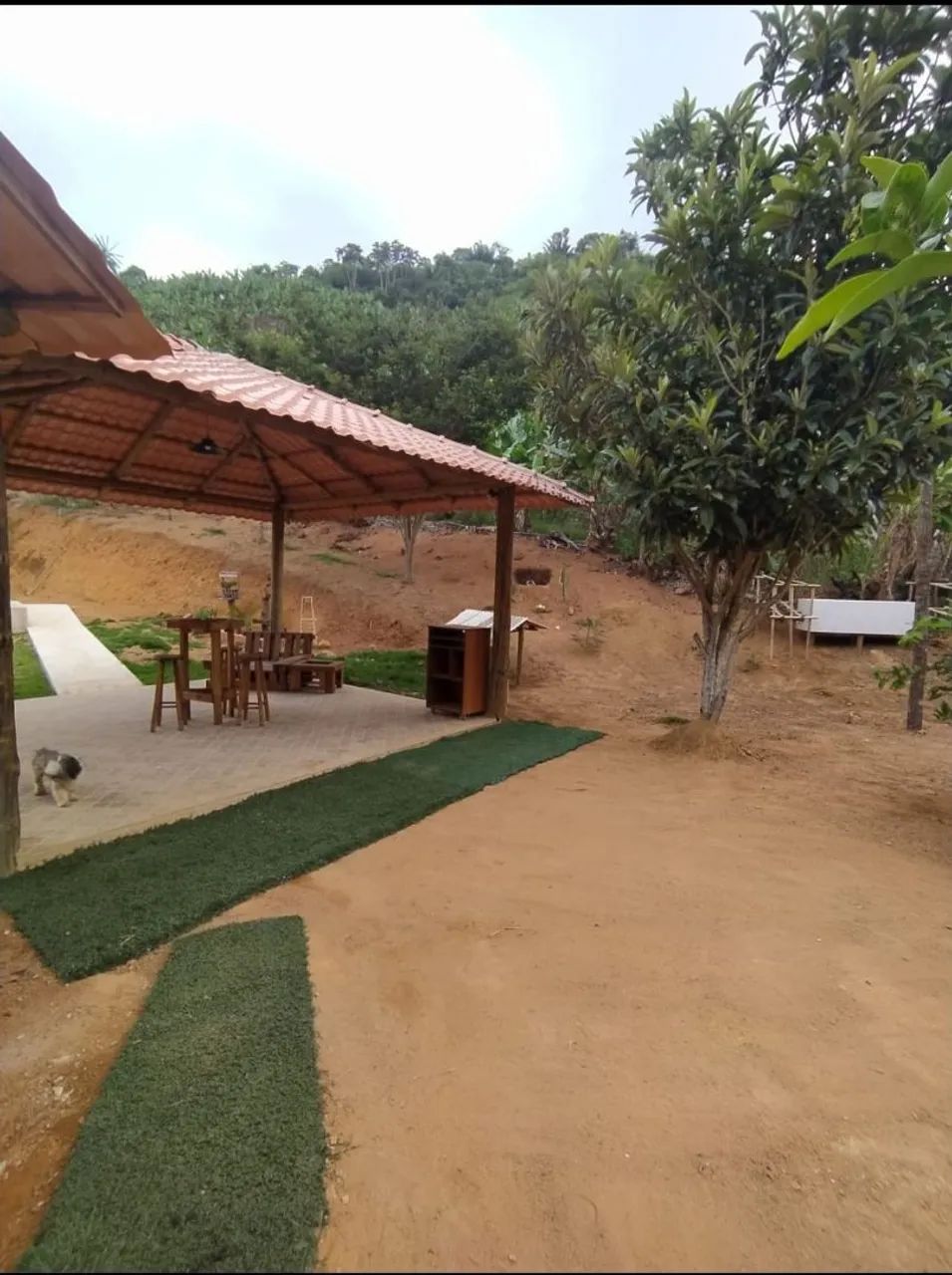 Vendo sítio 7100 metros domingos Martins  - Foto 5