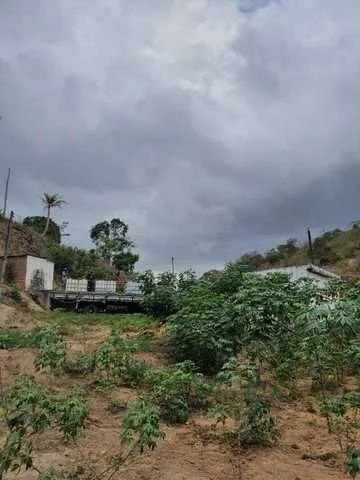 Área 24 hectares PE 50 Vitória PE - Foto 3