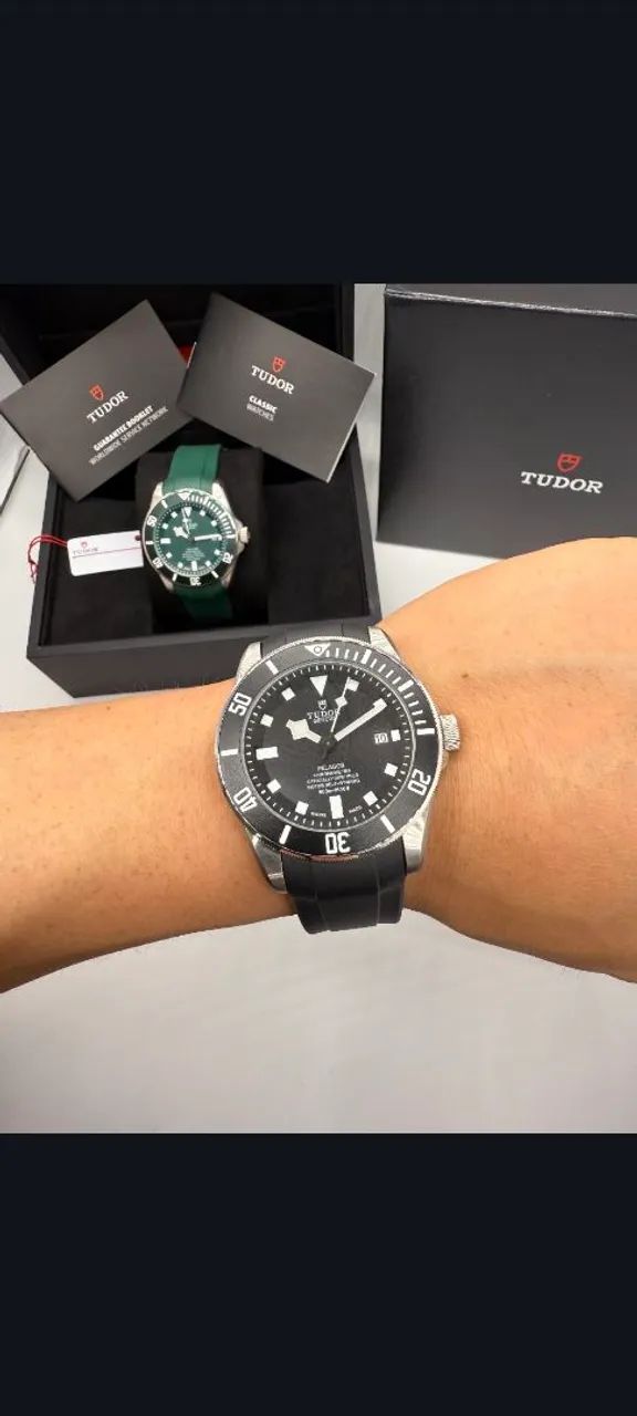 Tudor pelegos  - Foto 2