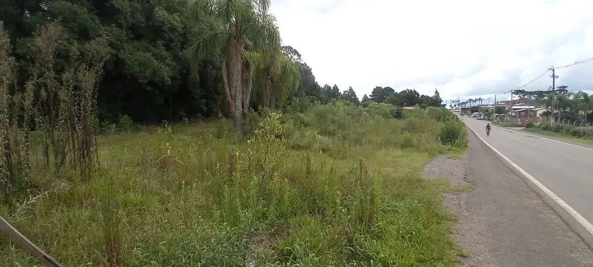 CAXIAS DO SUL - Terreno Padrão - FORQUETA - Foto 4