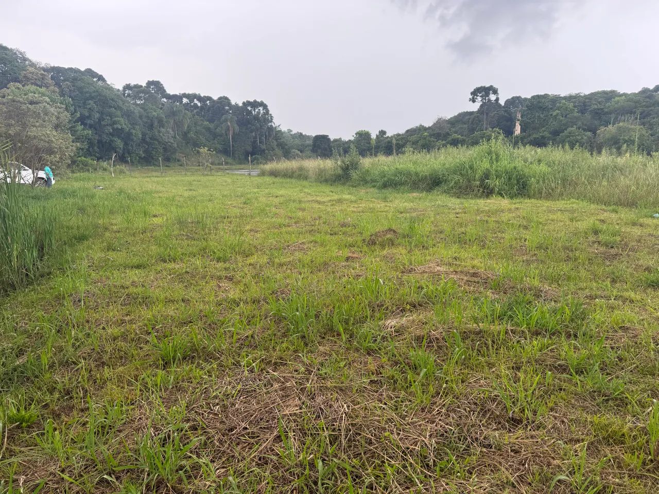 Terreno 732 m2 - São Caetano - Balsa nova Pr
