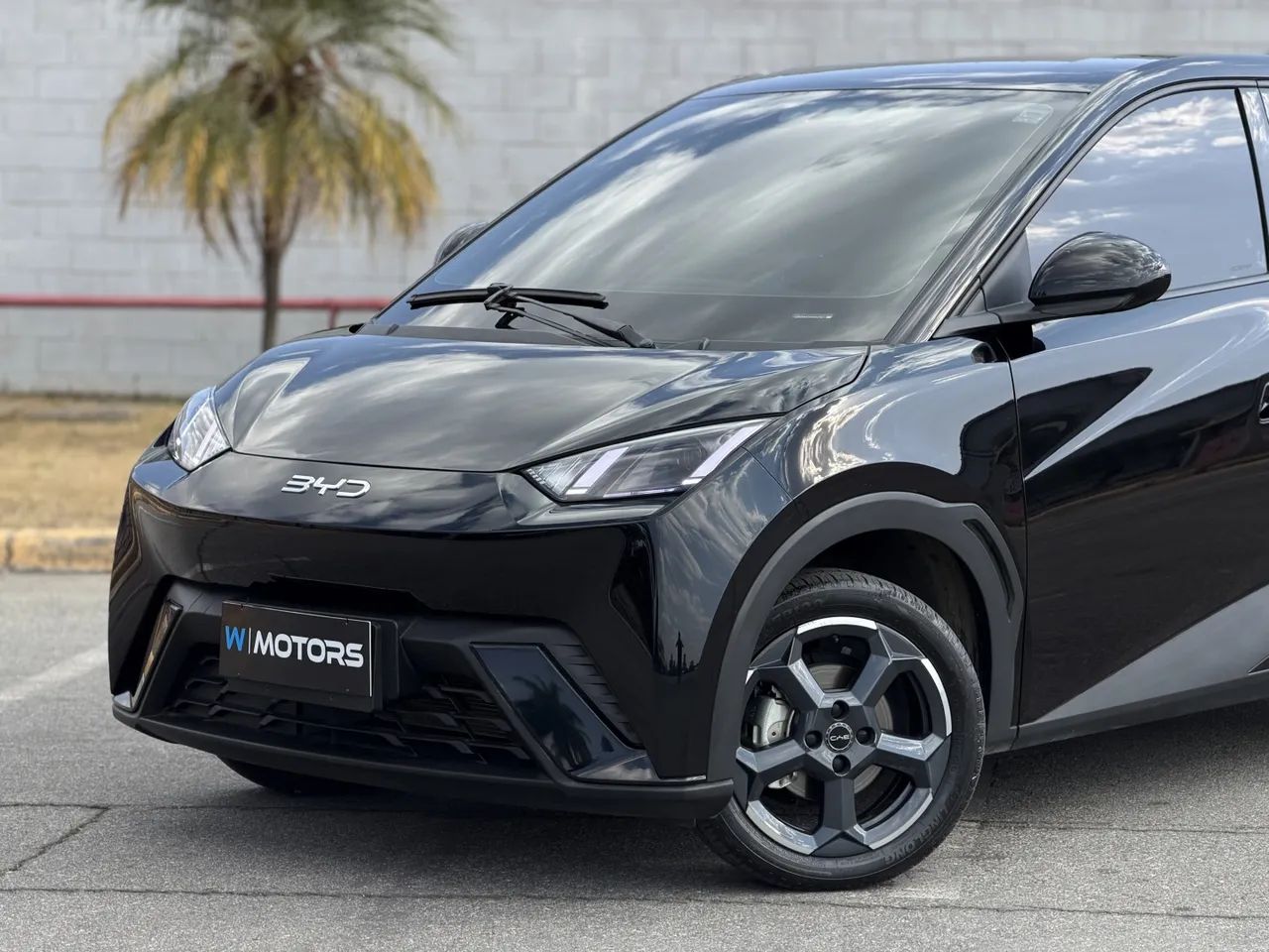 BYD Dolphin Mini (Elétrico) 2025 - Foto 2