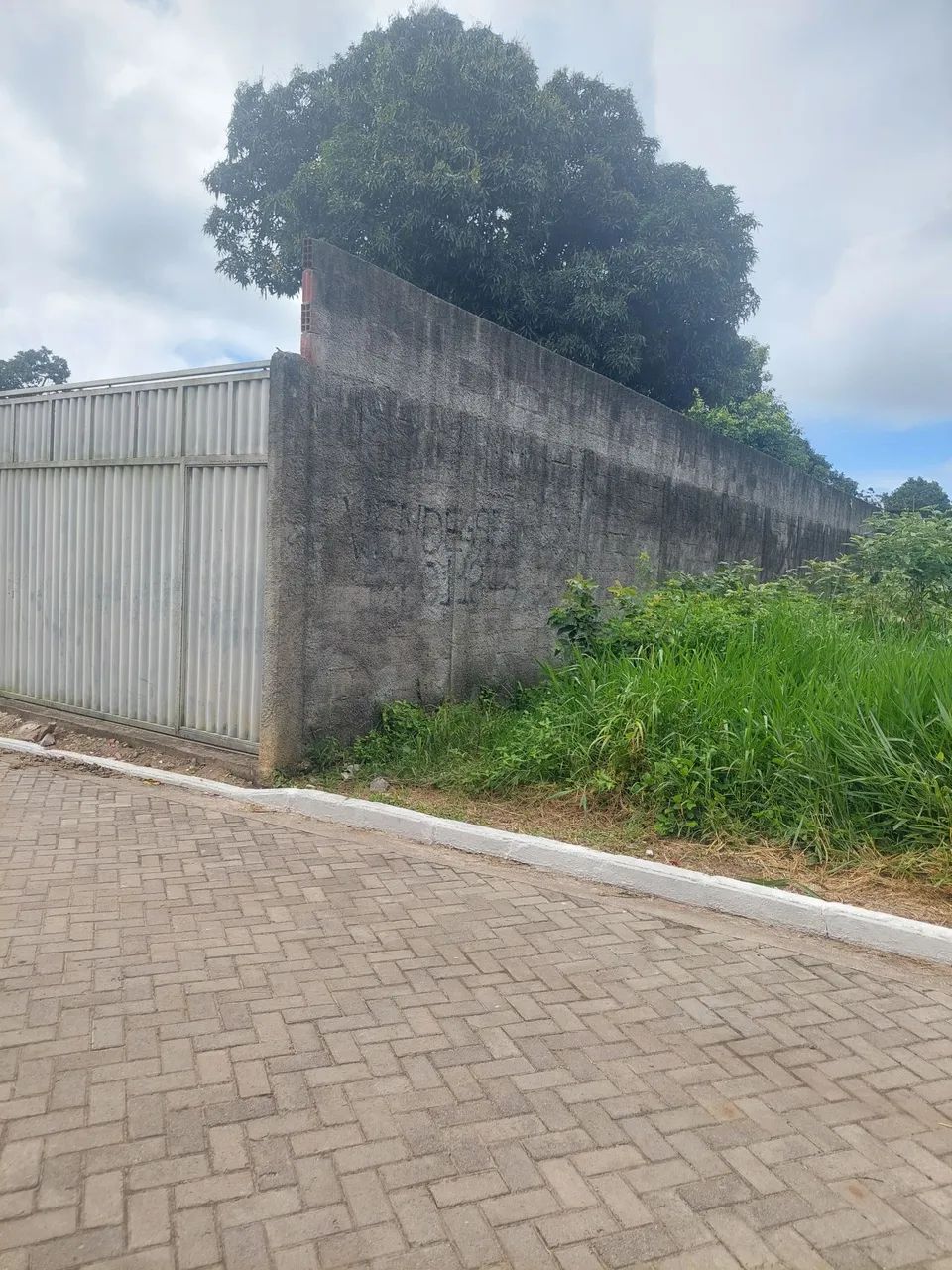 Vendo esses terrenos 
