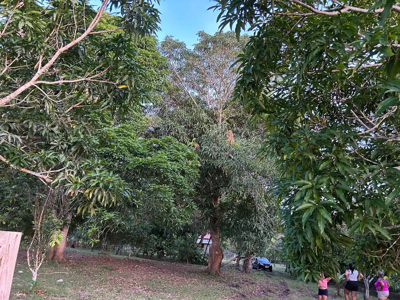 Venda ou troca