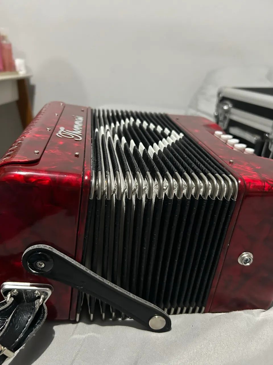 ACORDEON/SANFONA  - Foto 2