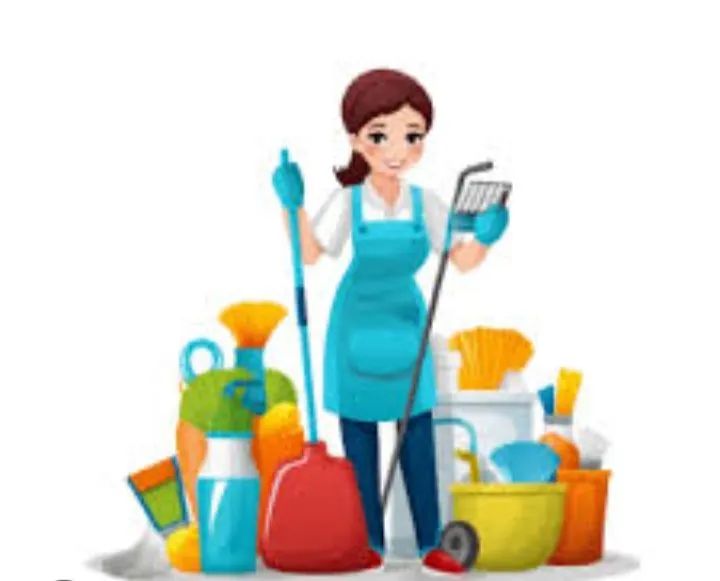 Organizar limpeza geral 