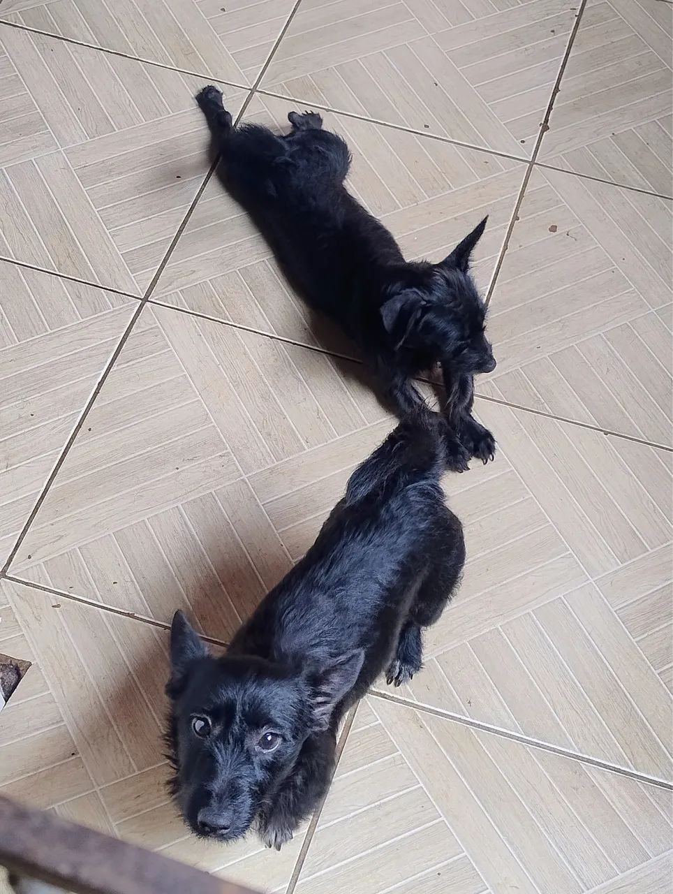 Doação  - Foto 4