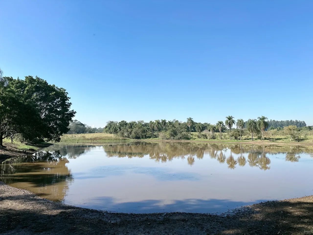 Haras em Sorocaba! Cod.:CH-1060 - Foto 5
