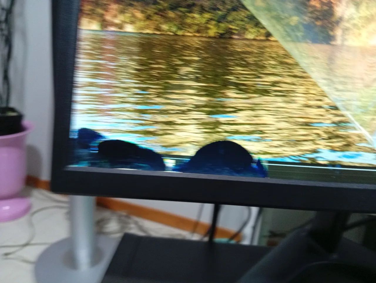 MONITOR PRIZI SLIM LED 19 POLEGADAS  HDMI - Foto 2