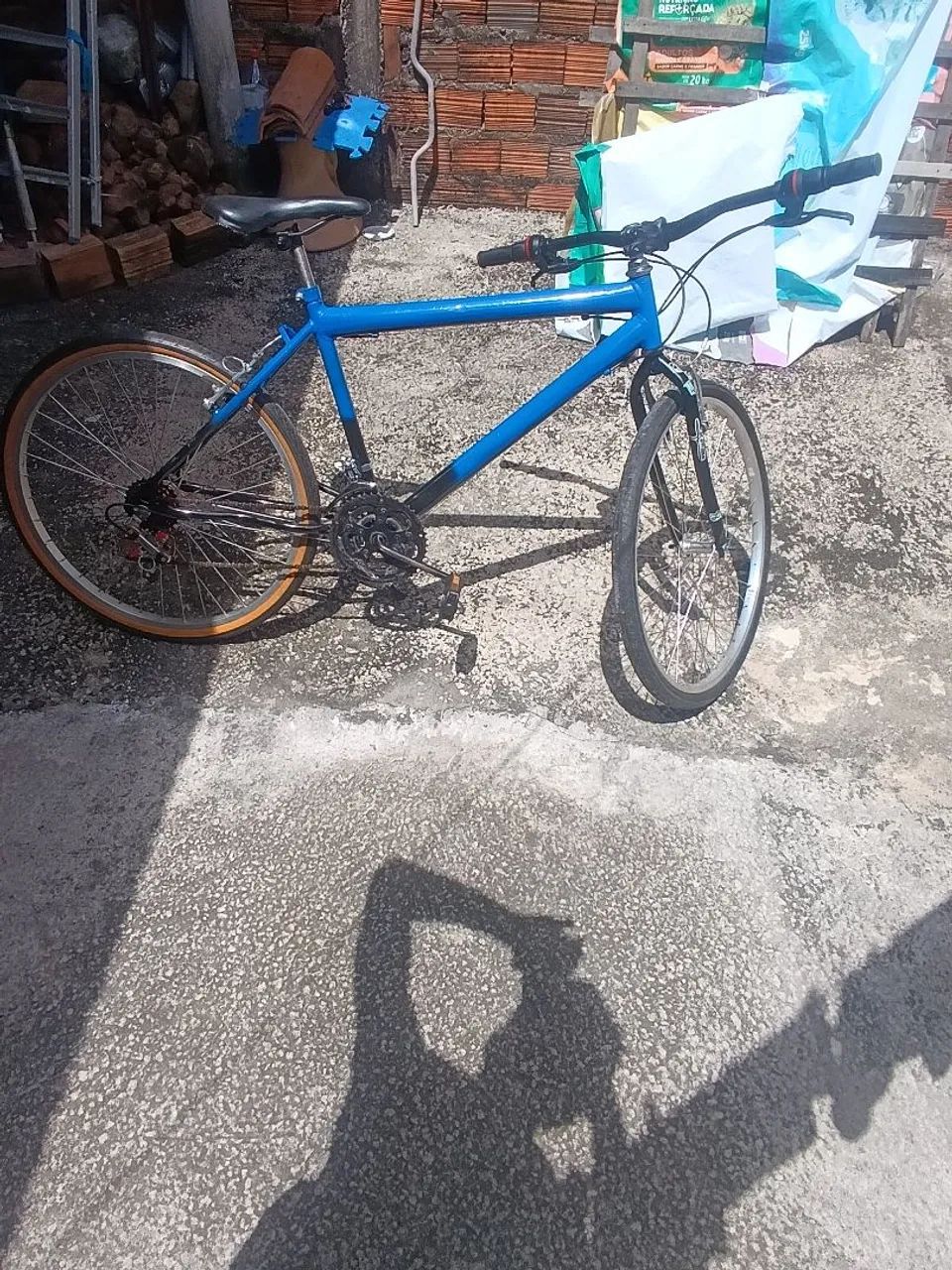 Bicicleta 