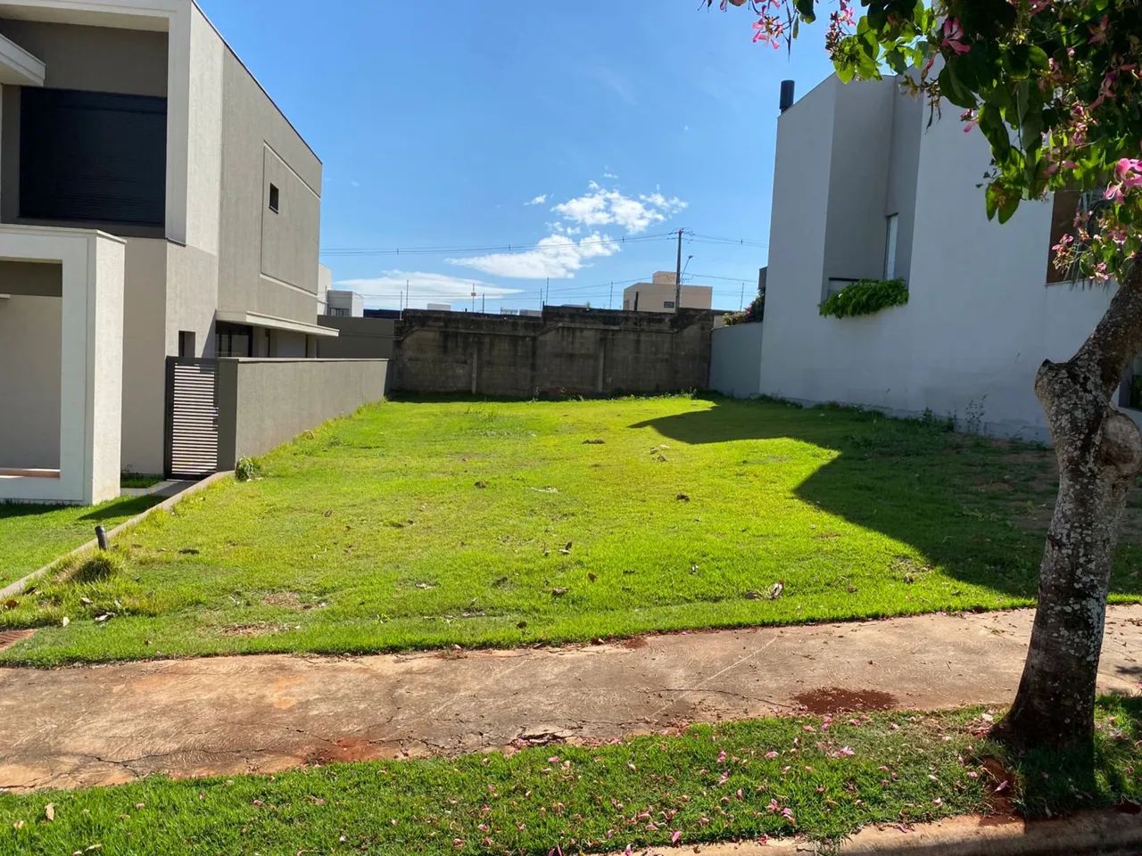 Foto - Londrina - Jardim Morumbi