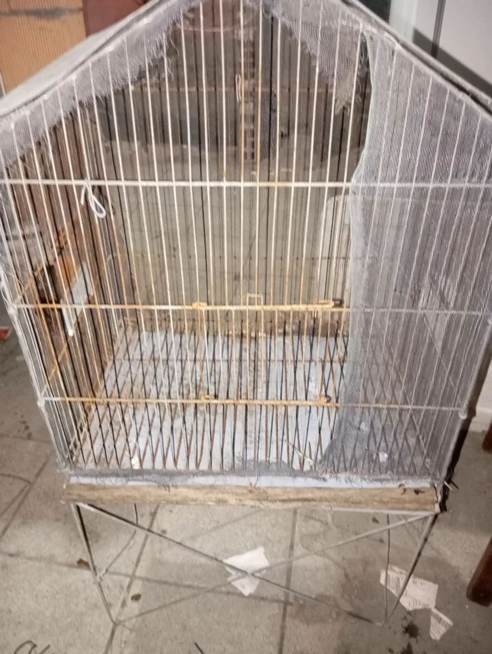 Lote de galiolas preços a partir de 40 reais  - Foto 3