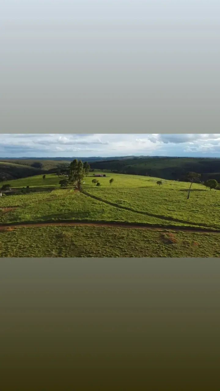 Alooooo Minas Gerais! Oportunidade chegando! - Foto 4