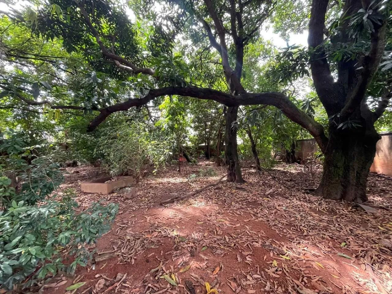 Lote à venda, Cinquentenário - Belo Horizonte/MG - Foto 2