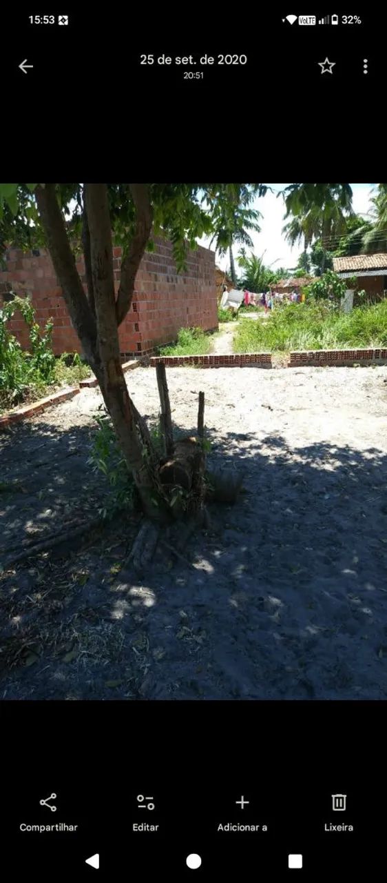 Terreno em Tatuamunha  - Foto 4