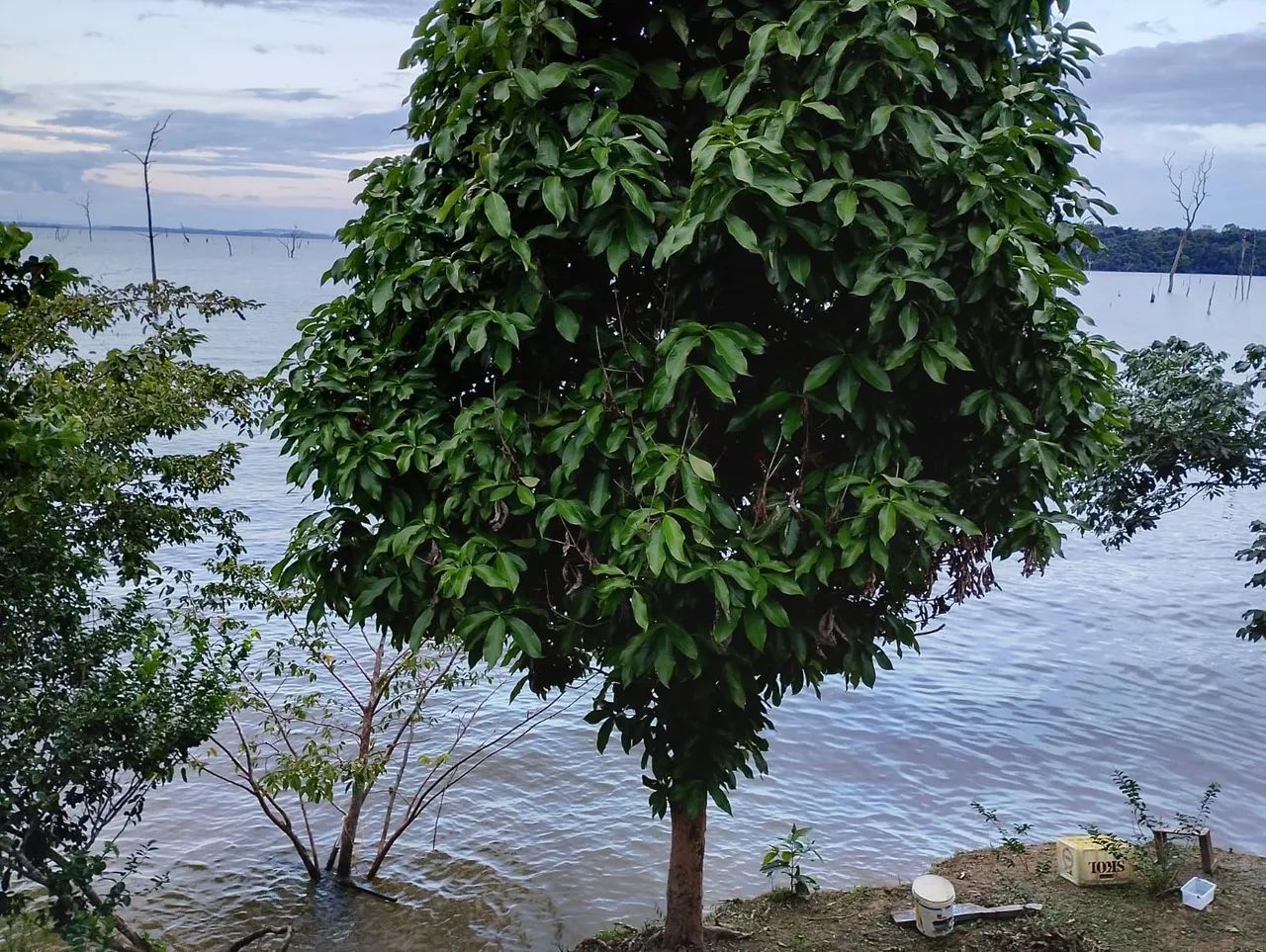 Sítio três irmãos  - Foto 4