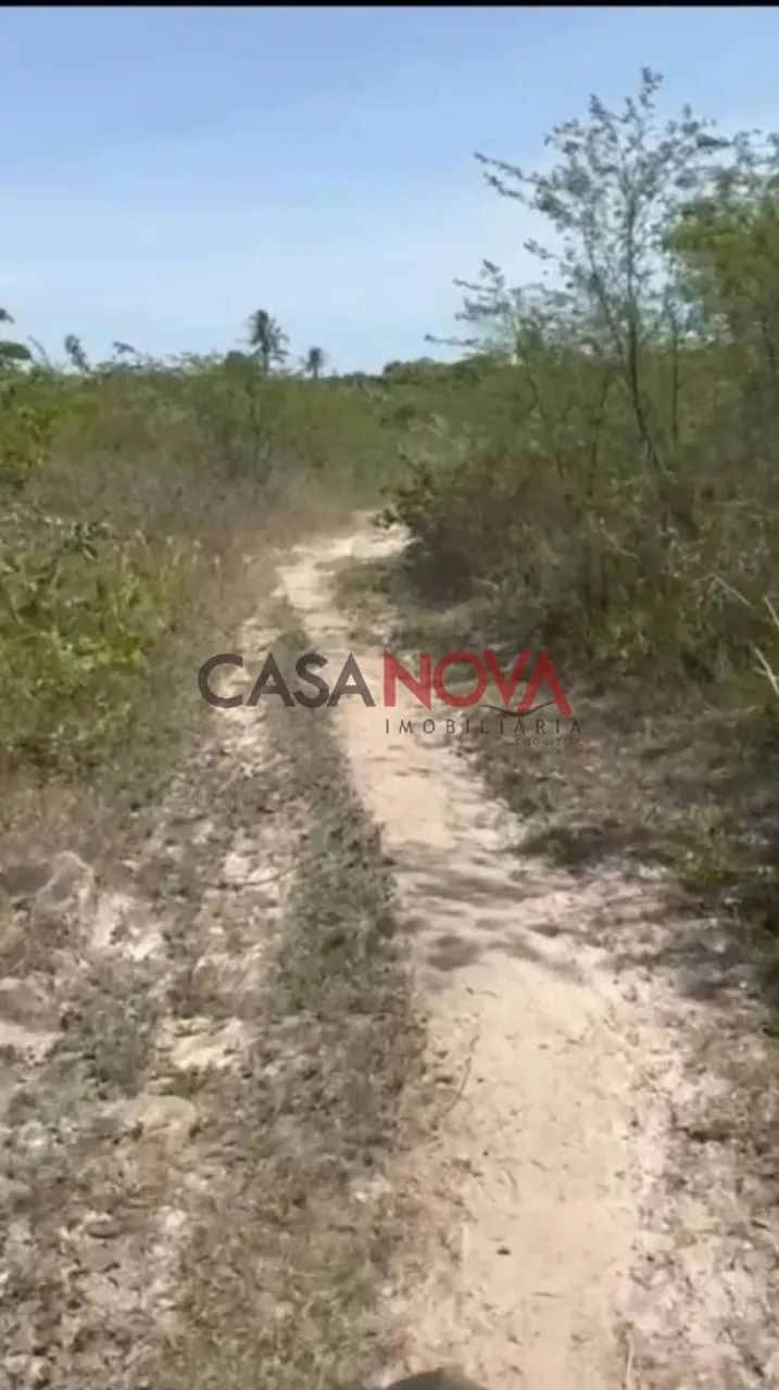 Fazenda com 170 tarefas em Riachão do Dantas - Foto 5