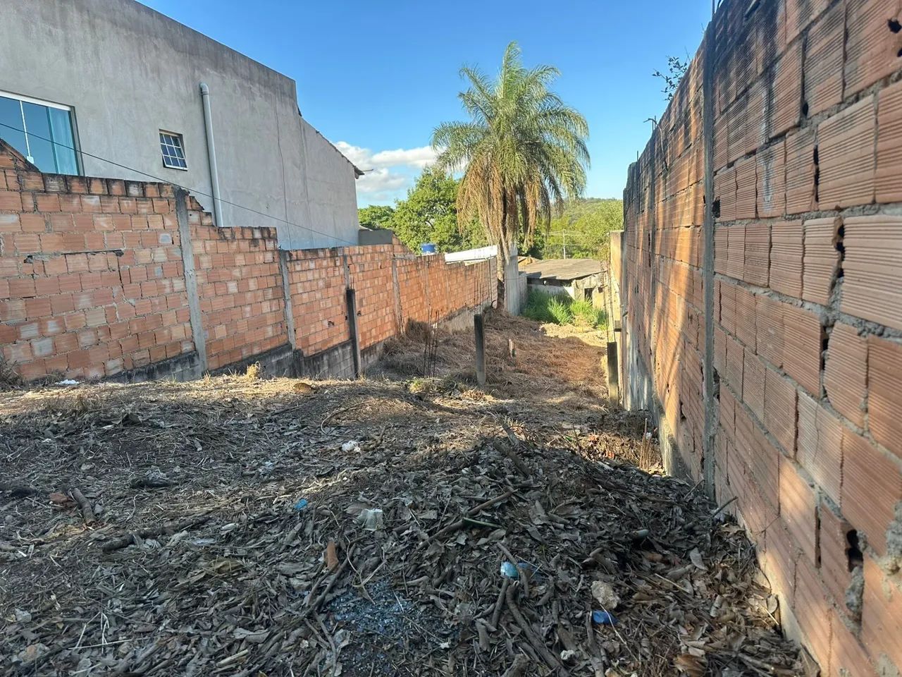 Foto - Betim - Arquipélago Verde