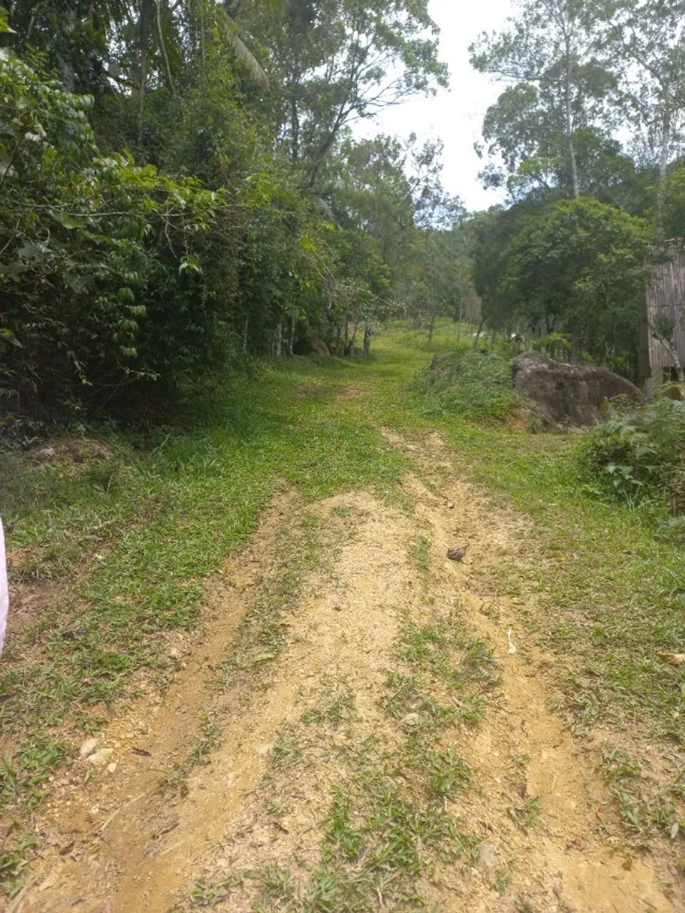  OPORTUNIDA VENDO OU TROCO - TERRENO PARA CHALÈ - CHACARA  - Foto 5