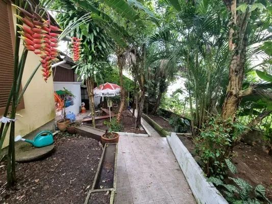 Coqueiros terreno próximo Supoer Mercado Imperatriz - Foto 2