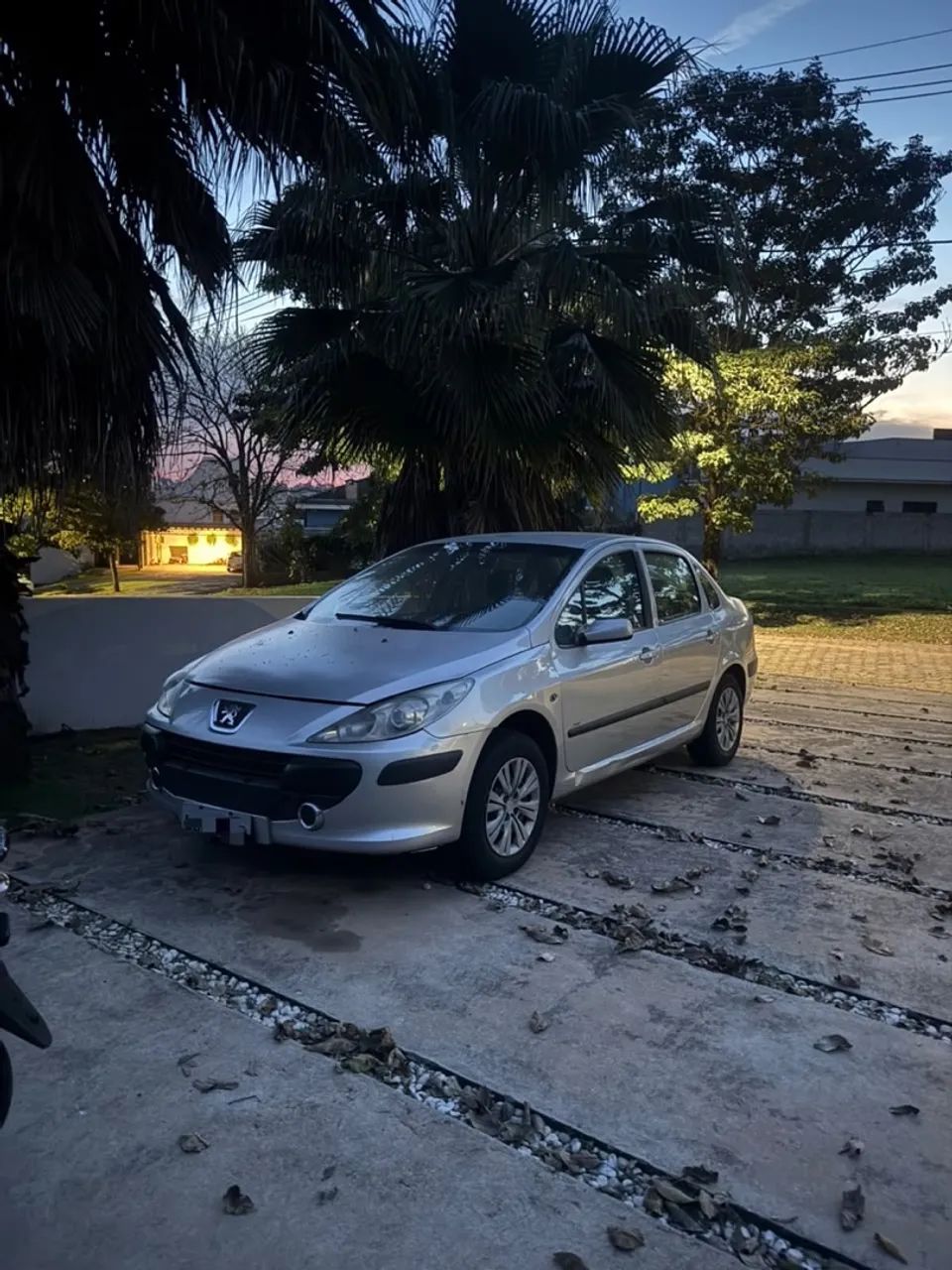 Peugeot 307 307 Sed. Presence 1.6 Flex 16V 4p 2009