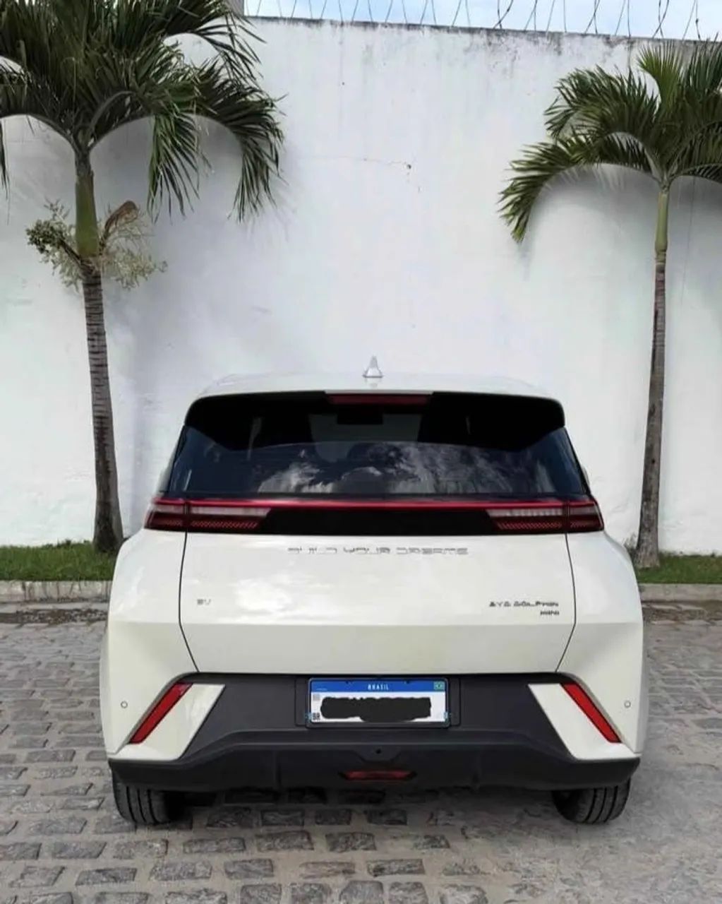 BYD Dolphin Mini (Elétrico) 2024 - Foto 3