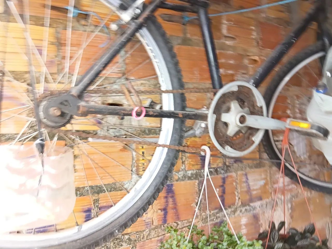 Bicicleta