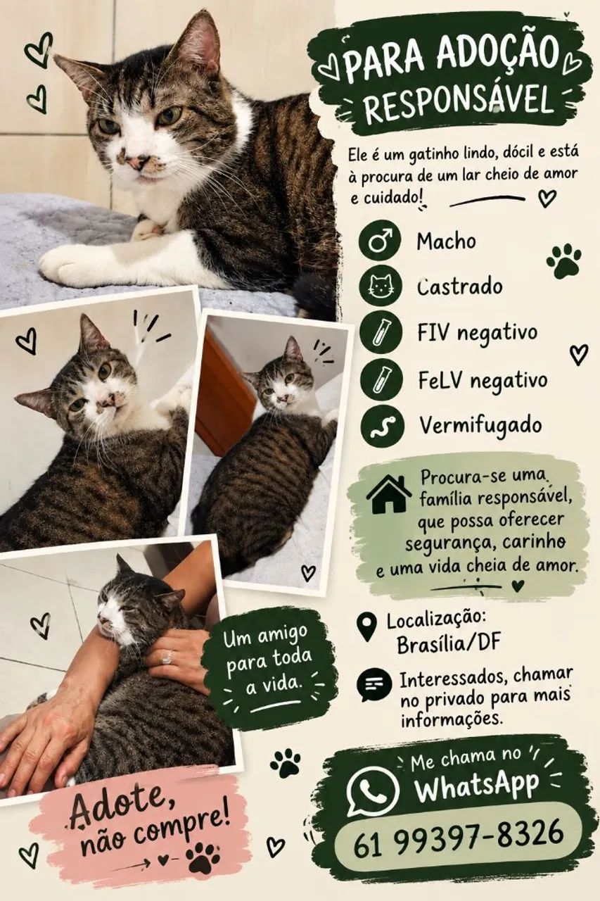 Doação 