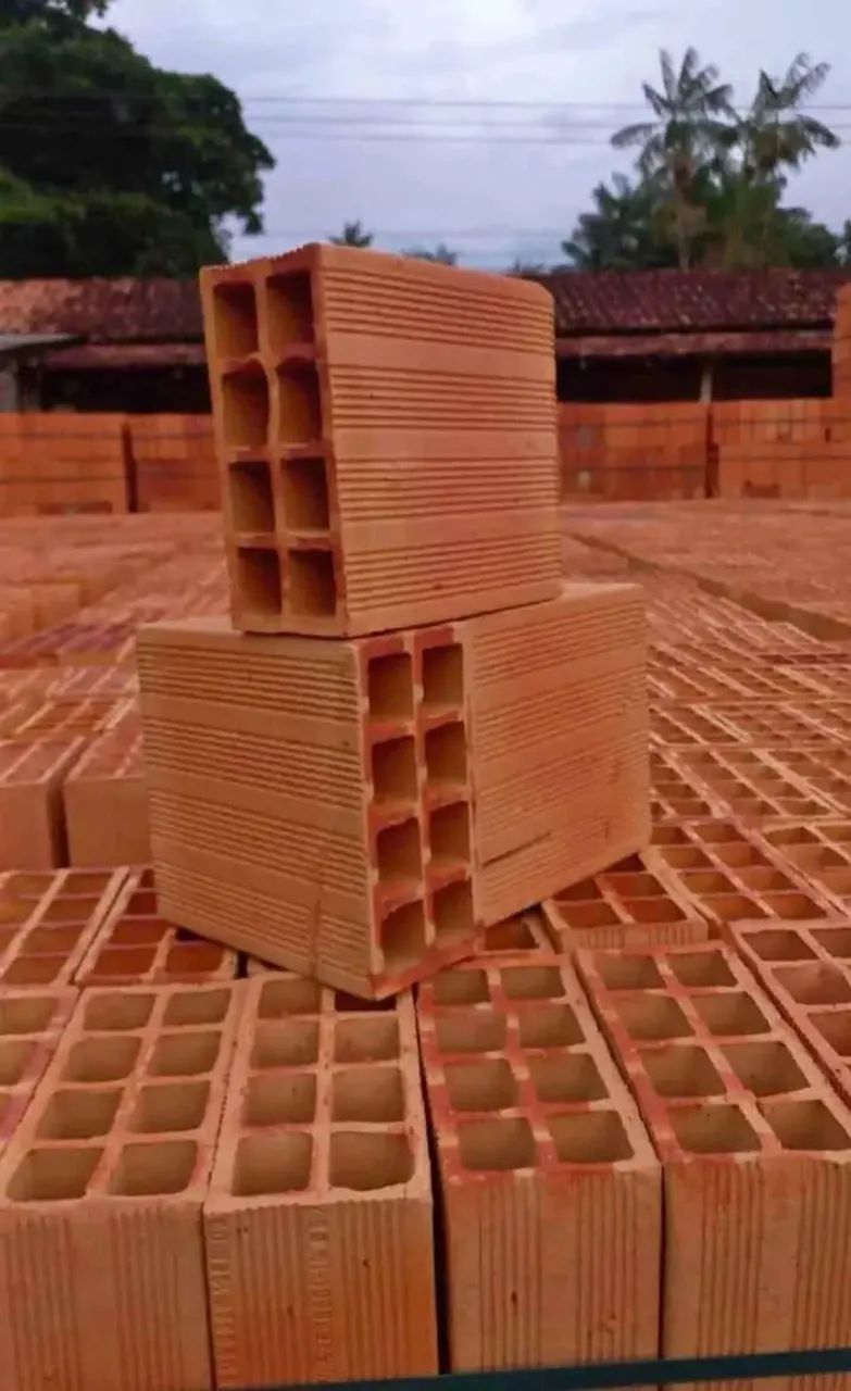 Tijolos 19x29 valor 1500